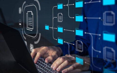 International People Search: What You Need to Know